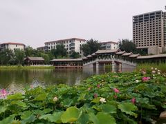 -西海子公园
