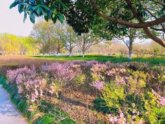-白塘生态植物园