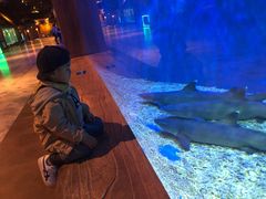 -华夏文旅海洋公园