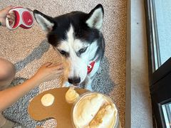 -J Create城市露营咖啡·简餐·宠物(上海动物园店)