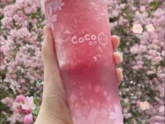 樱花粉荔-CoCo都可(大润发店)