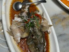 -老绍兴养和饭店(向阳不夜城店)