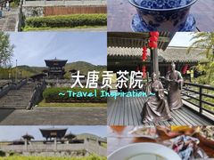 -大唐贡茶院