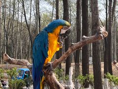 -北京野生动物园