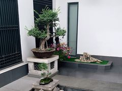 -稍可轩博物馆餐厅