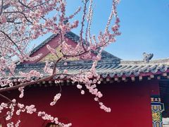 -桃花堤公园