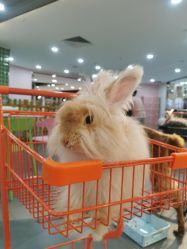 -Moni星球萌宠·小马宝莉·灵蛇·高端高阶全萌宠互动体验俱乐部(红豆国际广场店)
