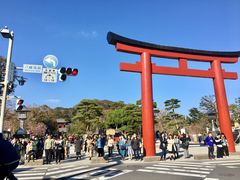 -镰仓 峰本(八幡宫前本店)