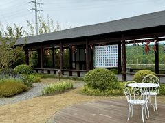 -杭州湾海上花田景区