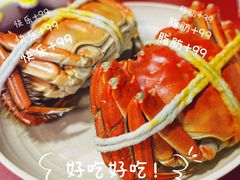 -黄记大闸蟹专卖店·活蟹·醉蟹