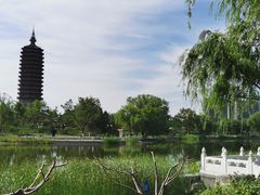 -西海子公园