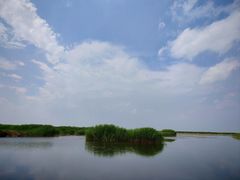 -乌梁素海景区