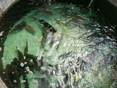 -贤鲁岛贤溪农庄
