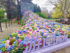 -上海共青森林公园