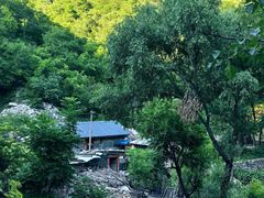 -大岭沟猕猴桃谷风景区