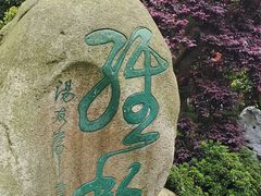 -上海鲜花港
