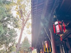 -成都武侯祠博物馆