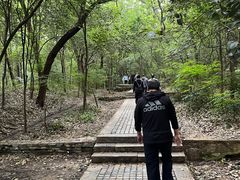 -紫金山山顶公园