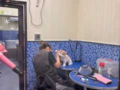 -瑞鹏宠物医院·宠保定点·心脏科·内科(御桥分院)