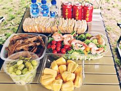 -上海共青森林公园