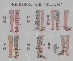 -香薇妮丝·定制减肥·身材管理