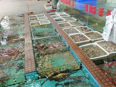 -景好海鲜餐厅(大鹏必选旅游店)