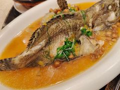 白灼鱿鱼-巷语私房料理(华一实业大厦店)