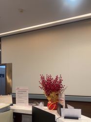 -上海玫瑰医疗美容医院