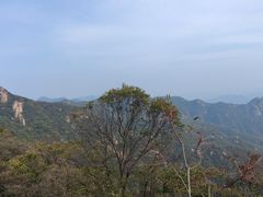 -大岭沟猕猴桃谷风景区