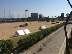 -碧海金沙