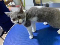 -佳雯宠物医院(金华南路分院)