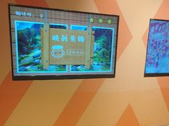 -不可思议减压馆·解压博物馆·摔碗发泄·团建定制