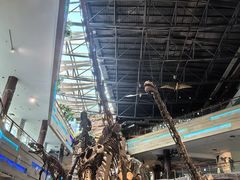 -安徽省地质博物馆