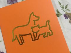 -佳怡动物医院·平价24小时·猫专科骨外科
