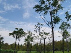 -象湖生态湿地公园