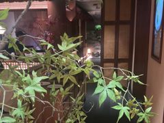 -揽季锅物会.福建黄鱼.海鲜姿造(五四路店)