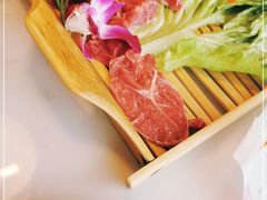 -菌子鲜汤野生菌锅