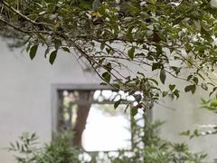 -杭州植物园