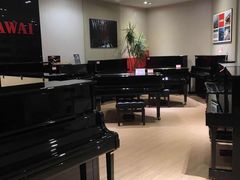 -柏斯琴行(汾阳店)
