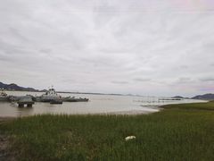 -花岙岛
