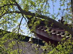 -南岳明心寺