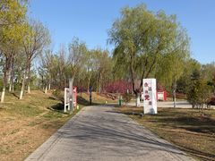 -瀛海足球主题公园