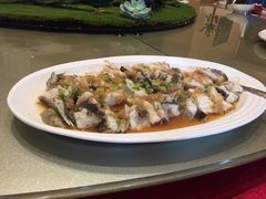 -麒麟中餐厅·经典粤菜·地道菜式老字号(广州长隆酒店)