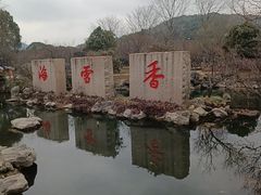 -香雪海