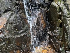 -清溪森林公园