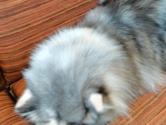 -渔太泰漓江小馆·广西融合菜(西街店)