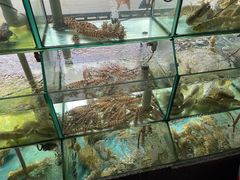 -凯华海鲜火锅·传承三十六年