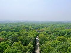-灵谷景区