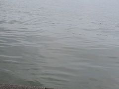 -西湖外事游船(湖滨二公园外事游船码头)