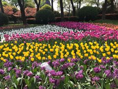 -上海鲜花港